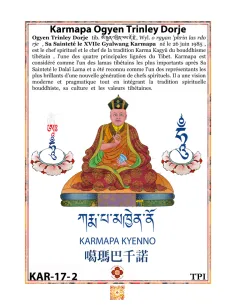 Karmapa Orgyen Trinle Dorje 2