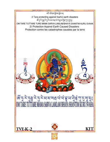 Tara - Protection against Earth Caused Disasters