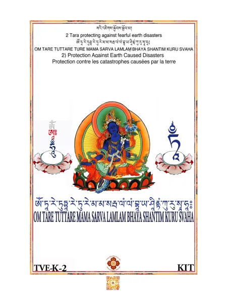 Tara - Protection against Earth Caused Disasters