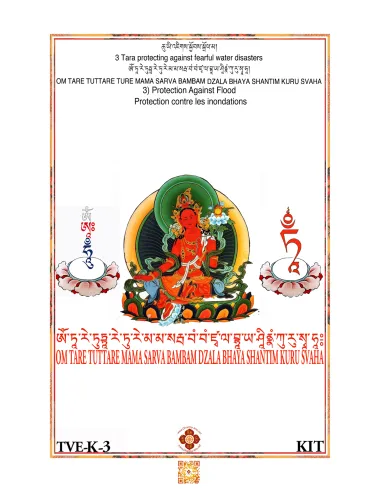 Tara - Protection against flood