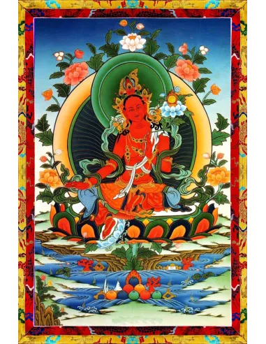 Tara - Protection against flood