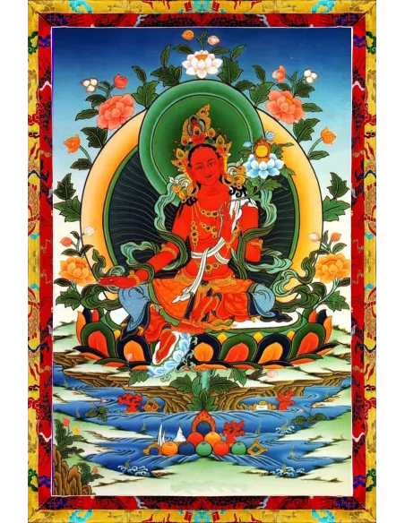 Tara - Protection against flood