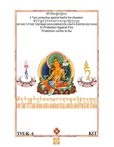 Tara - Protection contre le feu