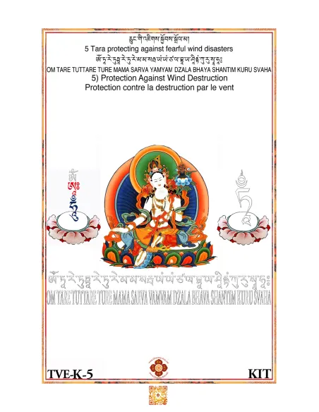 Tara Protection against Wind Destruction