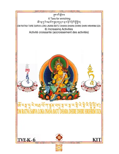 Tara - Increasing activities