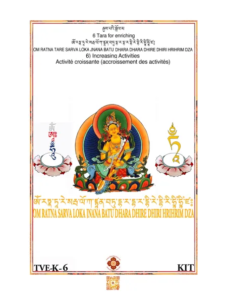 Tara - Increasing activities