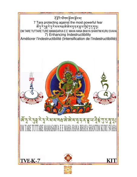 Tara - Enhancing Indestructability