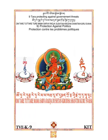 Tara - Protection against Politics