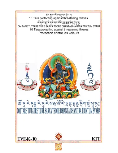 Tara - Protection against thieves