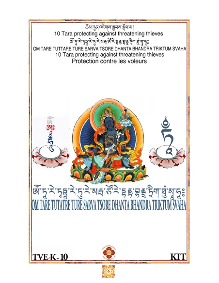 Tara - Protection against thieves