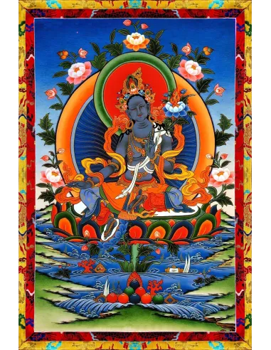 Tara - Protection contre les lions