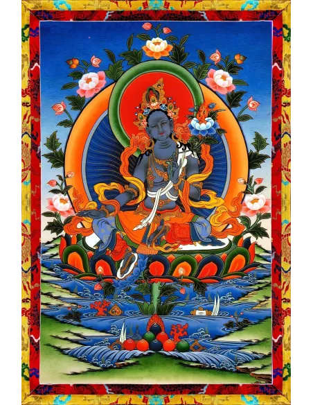 Tara - Protection contre les lions