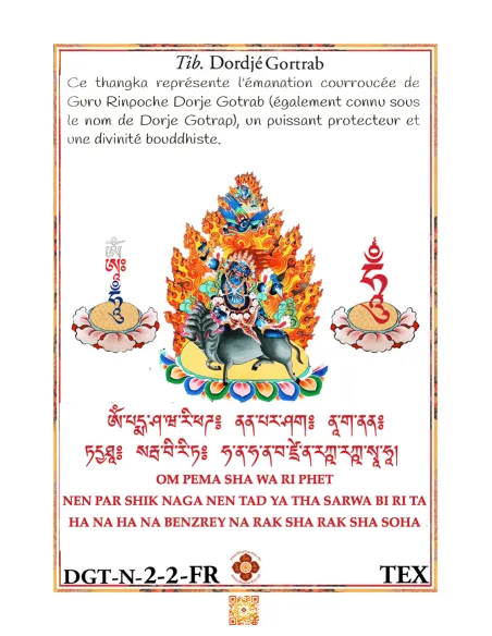 Dorje Gortrab