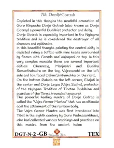 Dorje Gortrab 2