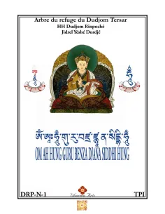 Jidrel Yeshe Dordje 2