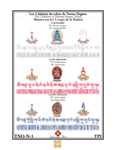 Samantabhadri Vajravarahi Khrotakhali