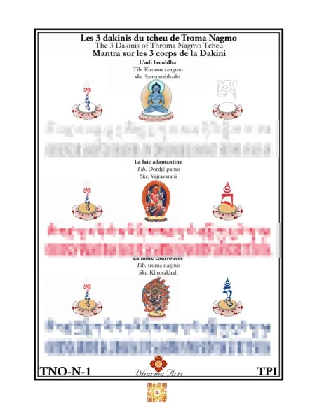 Samantabhadri Vajravarahi Khrotakhali