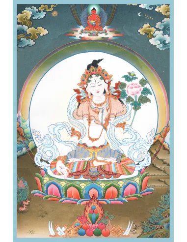 Promotion Découverte