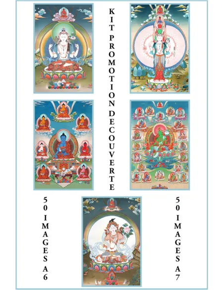 Promotion Découverte